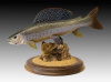 15" Hand Carved Grayling on 8.5" Oval Base - SOLD